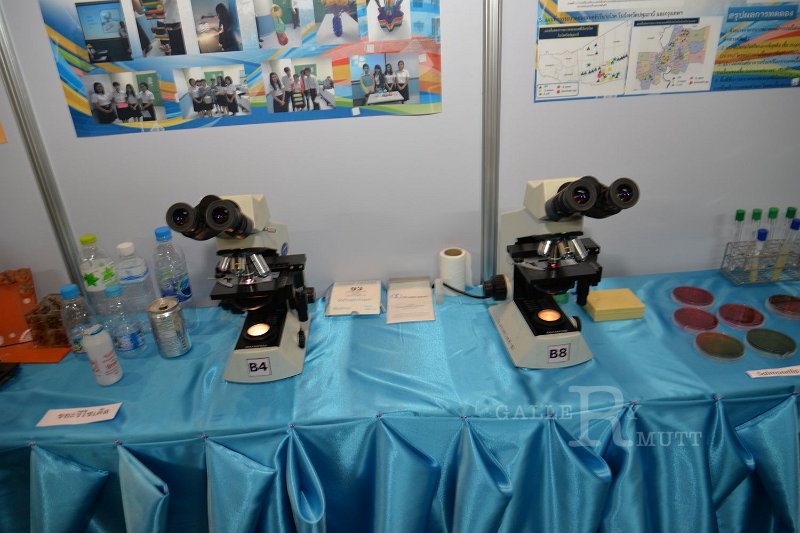 20150117-PR02-242.JPG
