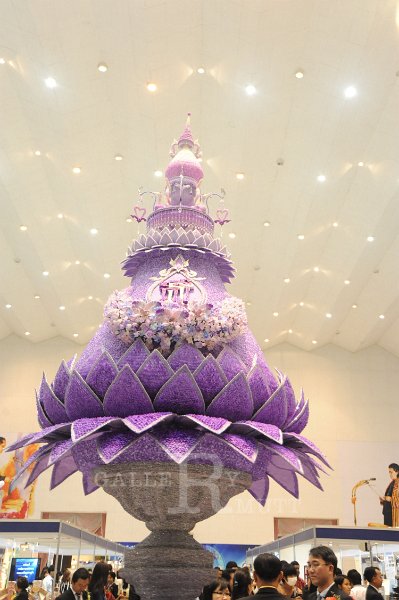 20150117-PR03-157.JPG