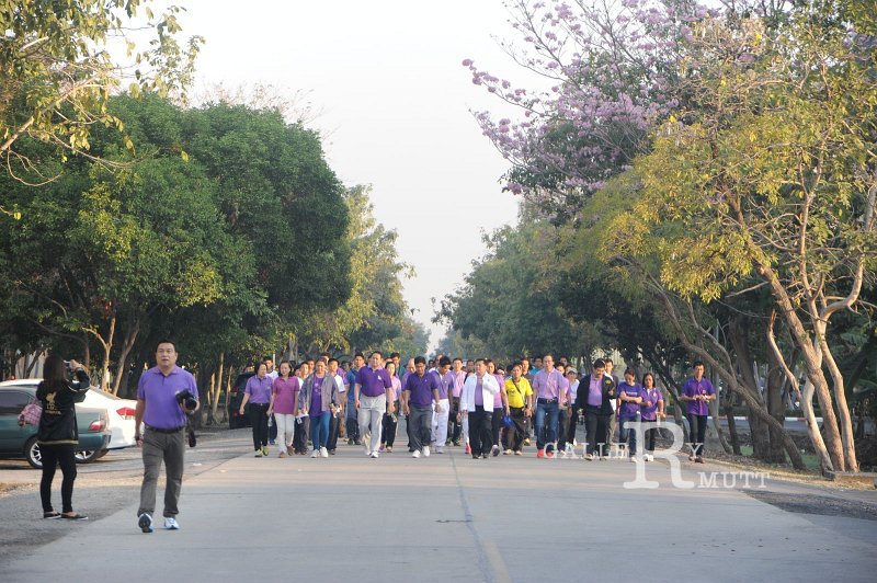 PRO_1550.JPG