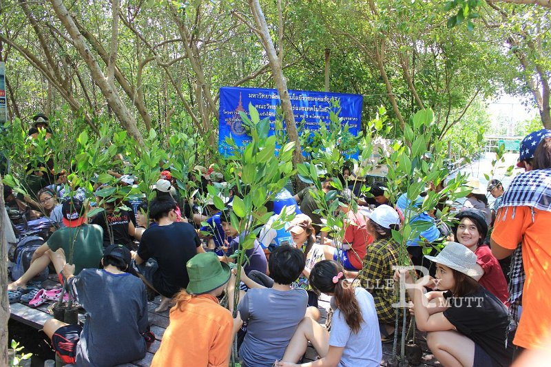 20150329khokkham_104.jpg