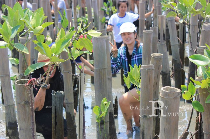 20150329khokkham_110.jpg
