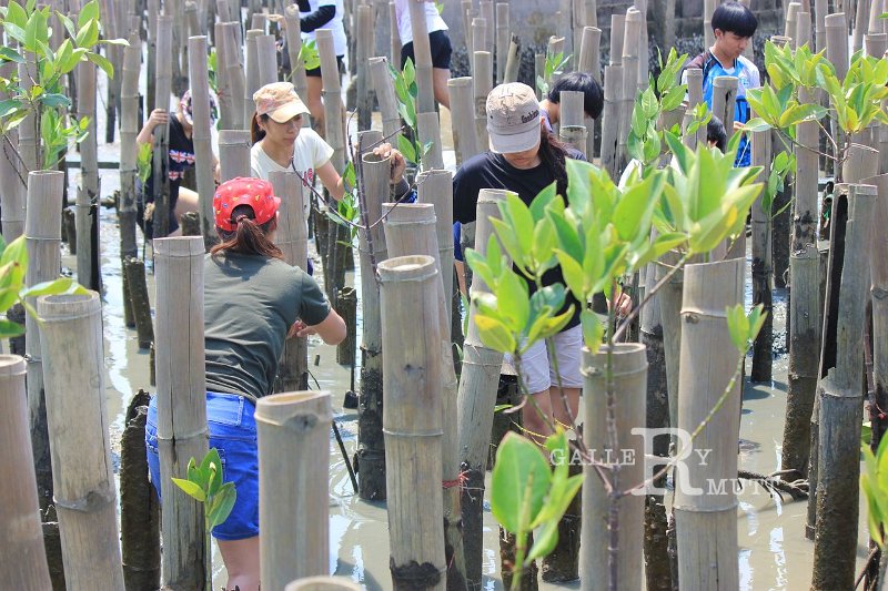 20150329khokkham_111.jpg