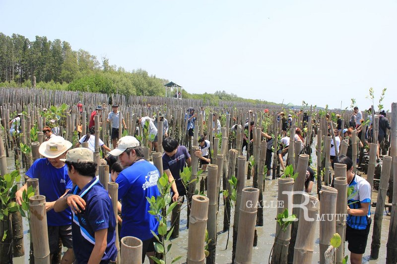 20150329khokkham_119.jpg