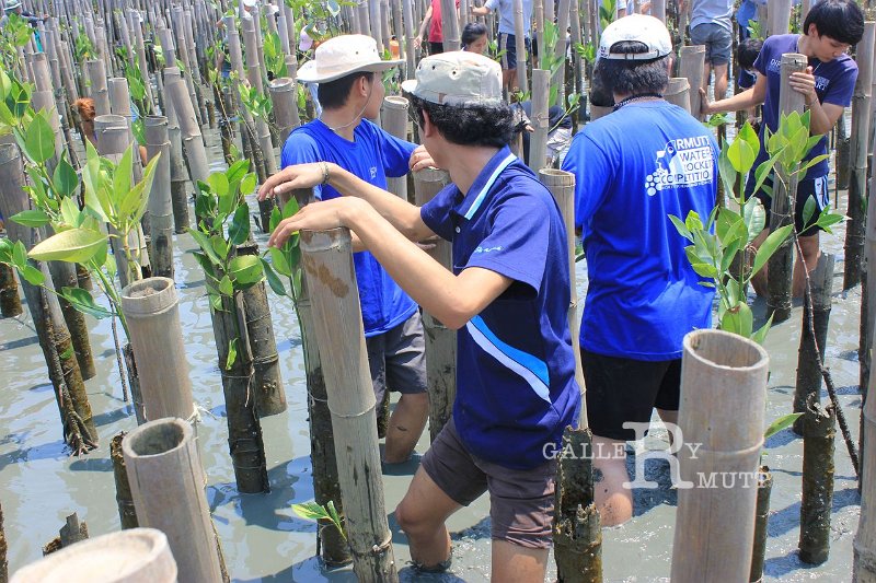 20150329khokkham_120.jpg