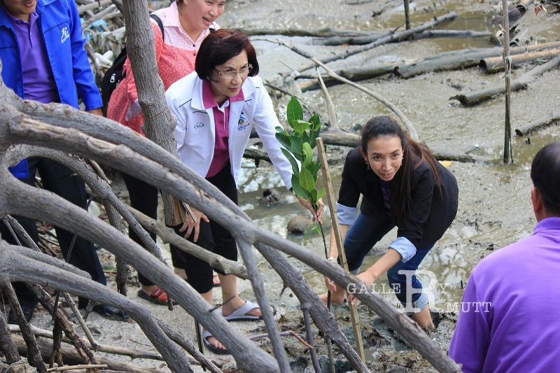 20150329khokkham_63.jpg