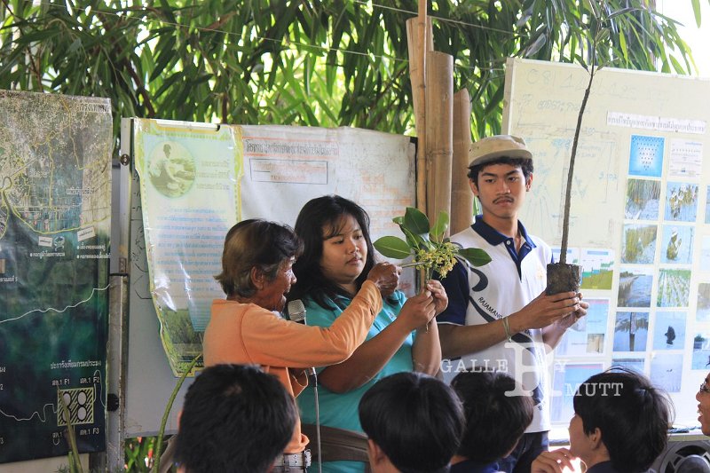20150329khokkham_90.jpg