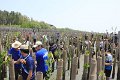 20150329khokkham_119