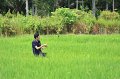 20150815-PR104