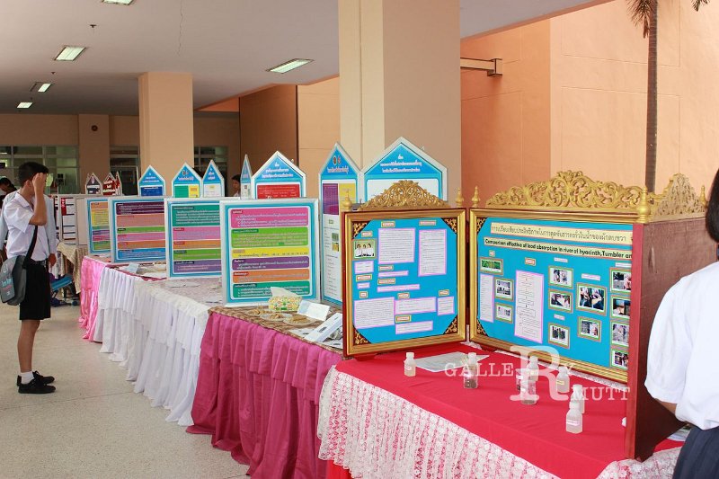 20150822-01_sci-30.jpg