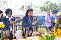 20160117-02-PR4499