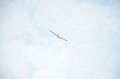 20160117-03-PR4655