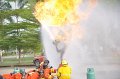 20160202-PR4593