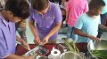 20160626-soilanalysis30