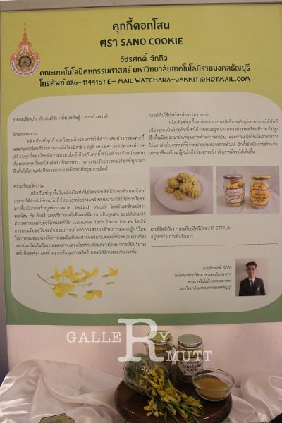 20170606-70.JPG