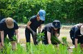 20170721RSPG01-006