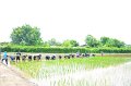 20170721RSPG01-044