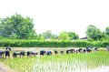 20170721RSPG01-046