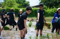 20170721RSPG01-081