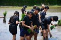 20170721RSPG01-082