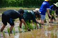20170721RSPG01-083