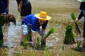 20170721RSPG01-084