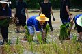 20170721RSPG01-087