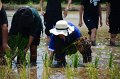 20170721RSPG01-088