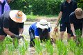 20170721RSPG01-128