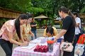 20170910-opening_knowledge_activity10