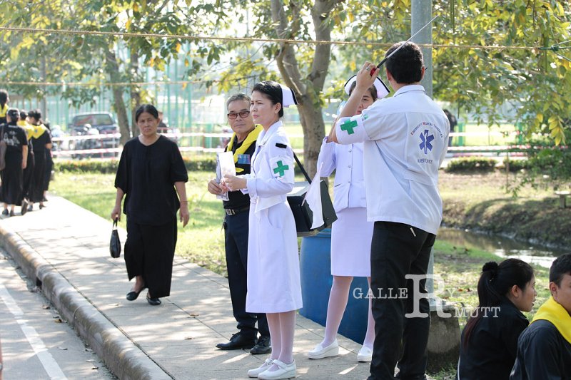 20171025-DokMaiJan_King9-AM-619.jpg