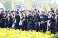 20171025-DokMaiJan_King9-AM-733