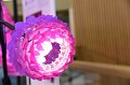20180313-ThesesART-0031