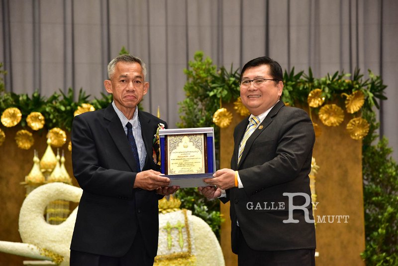 ORN_0896.jpg