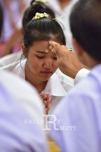 20180726PR01-162.JPG
