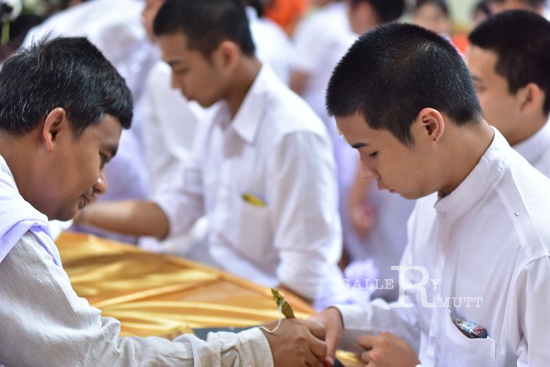 20180726PR01-195.JPG