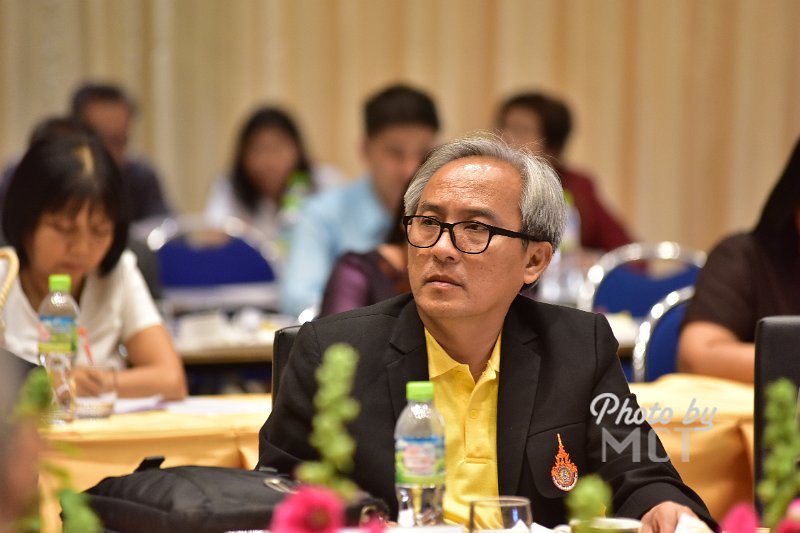 ORN_3265.JPG