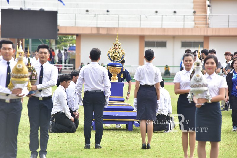 ORN_6936.jpg
