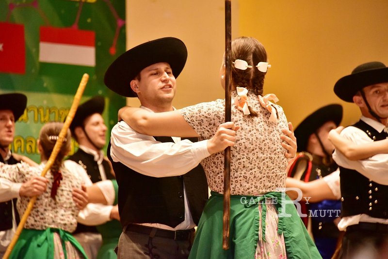 DSC_6185.JPG - โครงการเผยแพร่และแลกเปลี่ยนดนตรี-นาฏศิลป์