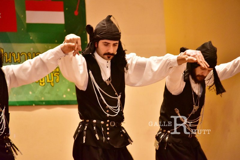 DSC_6211.JPG - โครงการเผยแพร่และแลกเปลี่ยนดนตรี-นาฏศิลป์