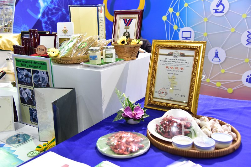 20190213PR01-036.jpg