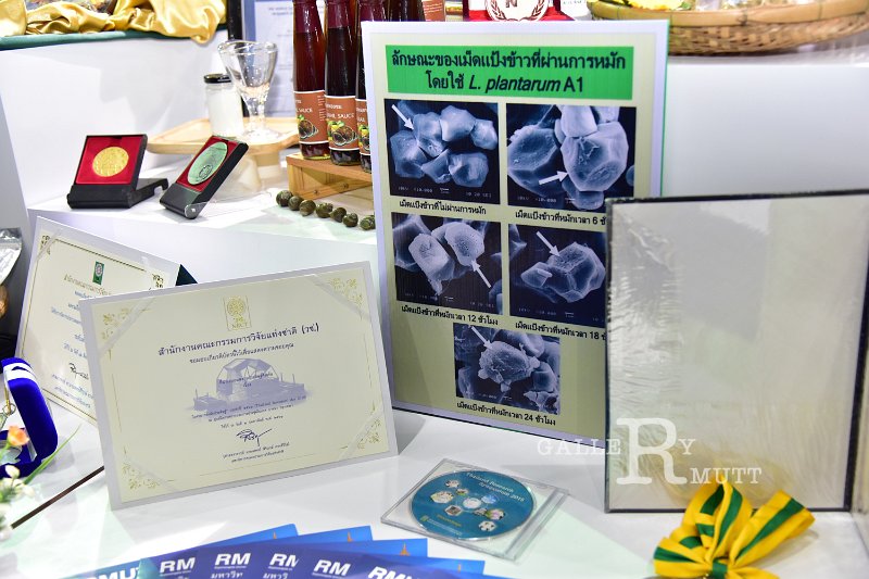 20190213PR01-040.jpg