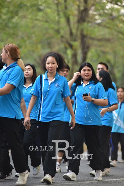 20190216PR01-186.JPG
