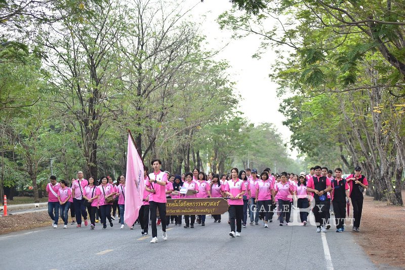 20190216PR01-189.JPG