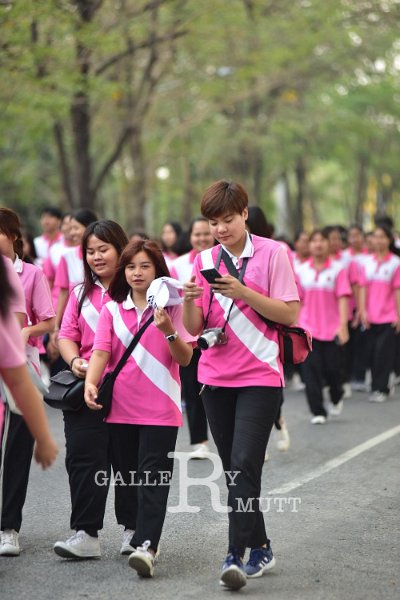 20190216PR01-200.JPG