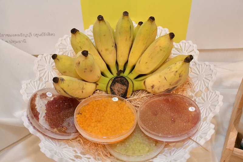 20190508PR02-095.jpg
