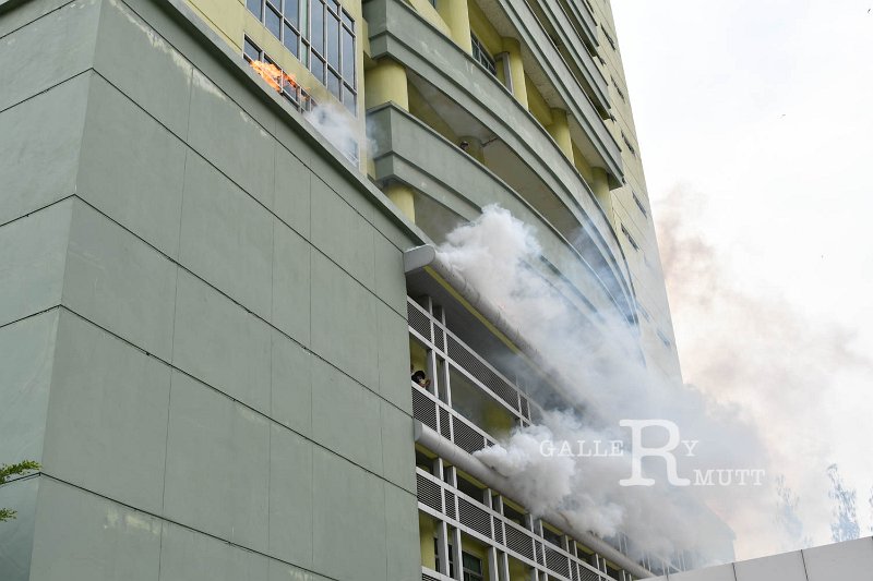 20190607PR01_080.jpg