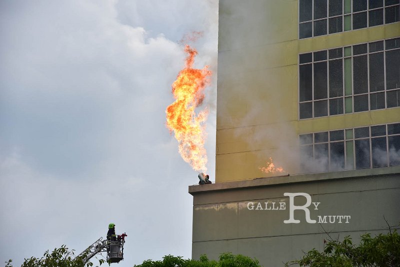20190607PR01_358.jpg
