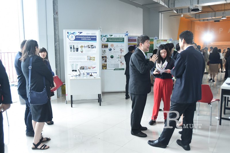 20190904-star-123.jpg