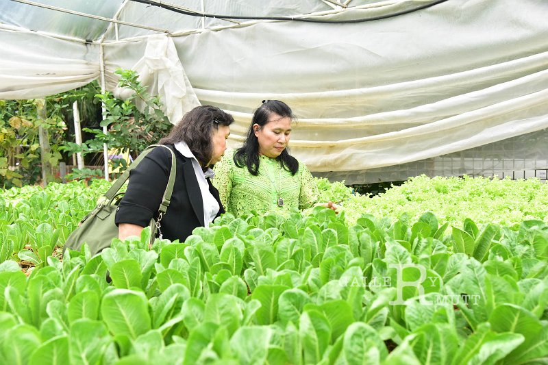 20190906PR01_090.jpg