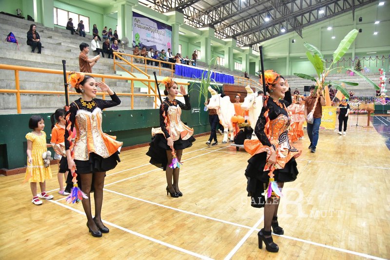 20191226-446.JPG